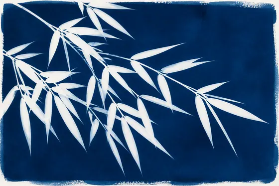 Cyanotype — A silhouette of bamboo leaves against a deep blue background., kết quả ChatGPT.